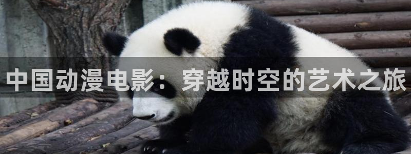 里番动漫在线观看肉片：中国动漫电影：穿越时空的艺术之旅配图