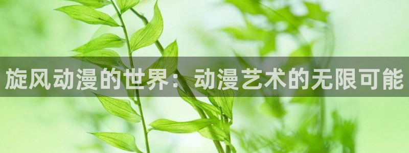 里番肉动漫在线观看：旋风动漫的世界：动漫艺术的无限可能配图
