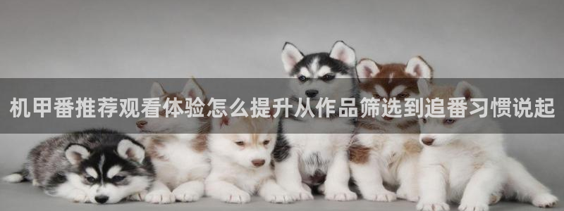 里番恶戏动漫在线观看:机甲番推荐观看体验怎么提升从作品筛选到追番习惯说起配图