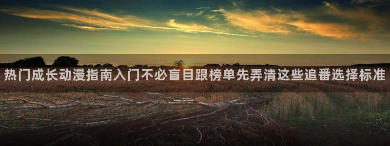 里番午夜动漫在线观看:热门成长动漫指南入门不必盲目跟榜单先弄清这些追番选择标准配图