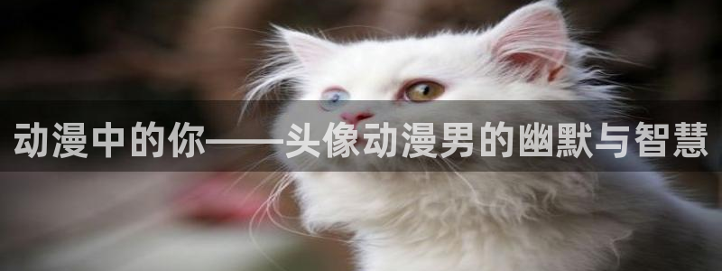 里番番动漫在线观看：动漫中的你——头像动漫男的幽默与智慧配图