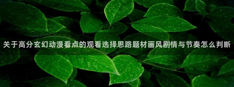 晚安动漫里番在线观看:关于高分玄幻动漫看点的观看选择思路题材画风剧情与节奏怎么判断配图