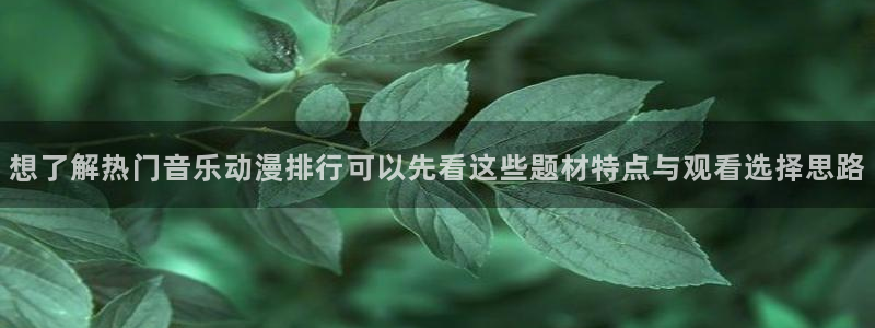 详细里番动漫在线观看:想了解热门音乐动漫排行可以先看这些题材特点与观看选择思路配图