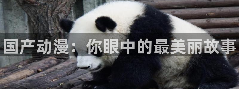 肉动漫在线观看里番:国产动漫:你眼中的最美丽故事配图