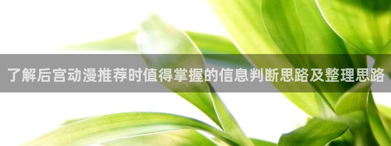 在线观看 里番动漫:了解后宫动漫推荐时值得掌握的信息判断思路及整理思路配图