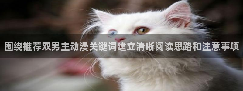动漫里番资源在线观看：围绕推荐双男主动漫关键词建立清晰阅读思路和注意事项配图