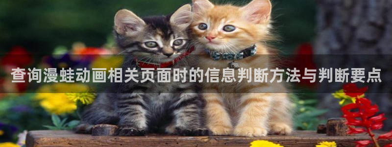 里番动漫在线观看i：查询漫蛙动画相关页面时的信息判断方法与判断要点配图